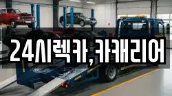 충남 서천군 판교면 렉카, 특수렉카, 차량탁송, 견인운송