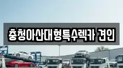 충청아산대형특수렉카 견인