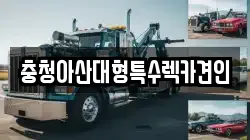 충청아산대형특수렉카견인