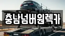 충남 아산시 장존동 렉카, 특수렉카, 차량탁송, 견인운송