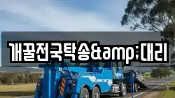 개꿀전국탁송&대리
