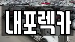 내포렉카