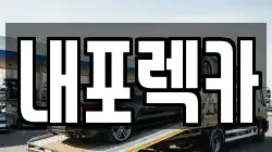 내포렉카