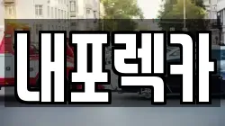 내포렉카