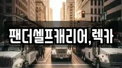 팬더셀프캐리어,렉카