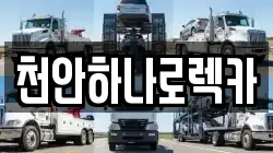 천안하나로렉카