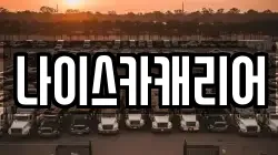 나이스카캐리어