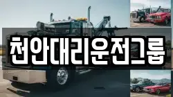천안대리운전그룹