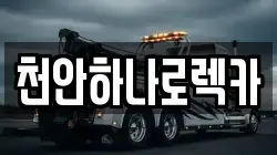 천안하나로렉카