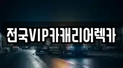전국VIP카캐리어렉카