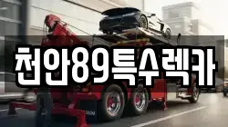 천안89특수렉카