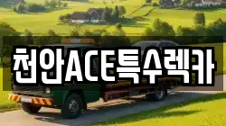 천안ACE특수렉카