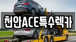 천안ACE특수렉카
