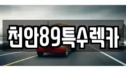 천안89특수렉카