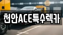 천안ACE특수렉카