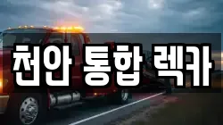 천안 통합 렉카