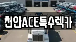 천안ACE특수렉카