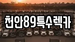 천안89특수렉카