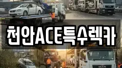 천안ACE특수렉카
