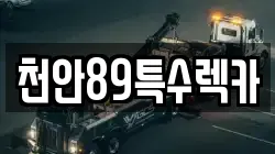 천안89특수렉카