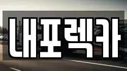 내포렉카