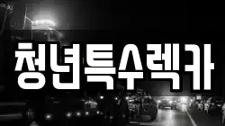 충남 청양군 남양면 렉카, 특수렉카, 차량탁송, 견인운송