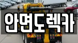 안면도렉카