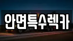 안면특수렉카