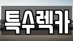특수렉카