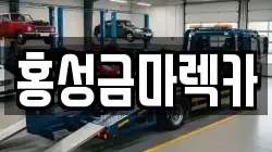홍성금마렉카
