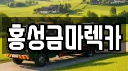 홍성금마렉카