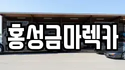 홍성금마렉카