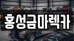 홍성금마렉카