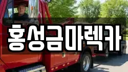 홍성금마렉카