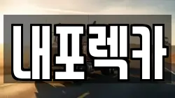 내포렉카