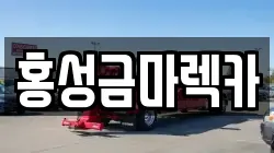 홍성금마렉카