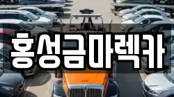 홍성금마렉카