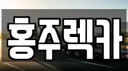 홍주렉카