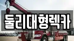 둘리대형렉카