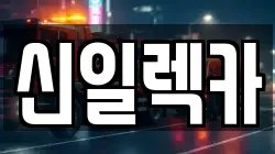 신일렉카
