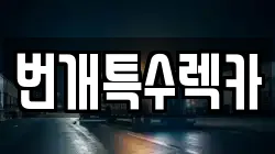 충북 제천시 왕암동 렉카, 특수렉카, 차량탁송, 견인운송