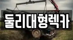 둘리대형렉카