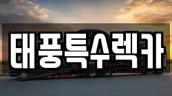 태풍특수렉카