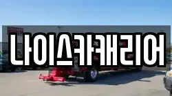나이스카캐리어