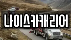 나이스카캐리어