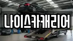 나이스카캐리어