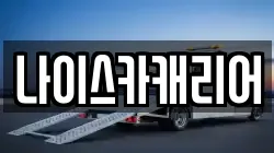 나이스카캐리어