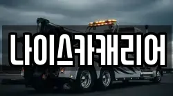 나이스카캐리어