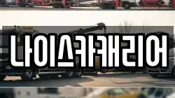 나이스카캐리어