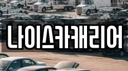 나이스카캐리어